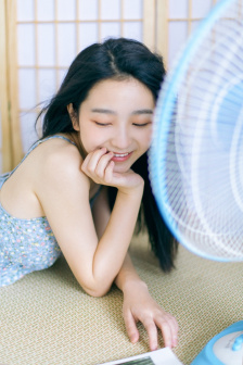 《菊内留香》金银花露车