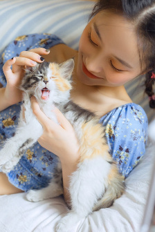 一路向西在线观看